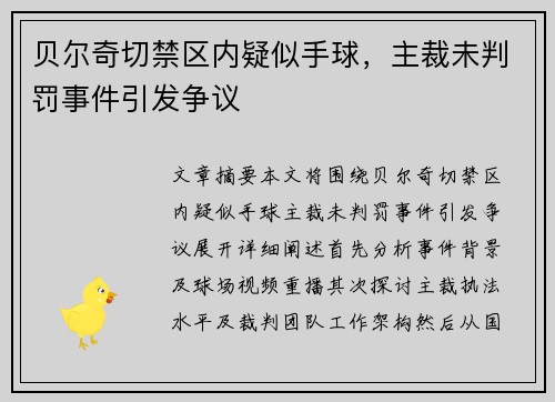 贝尔奇切禁区内疑似手球，主裁未判罚事件引发争议